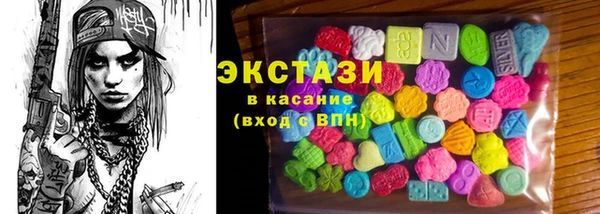 индика Богородицк