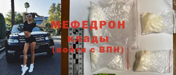 индика Богородицк